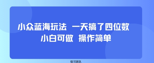 小众蓝海玩法 一天搞了四位数 小白可做 操作简单-九九网创