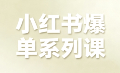 小红书爆单系列课，聚焦小红书电商全链路增长(更新)-九九网创