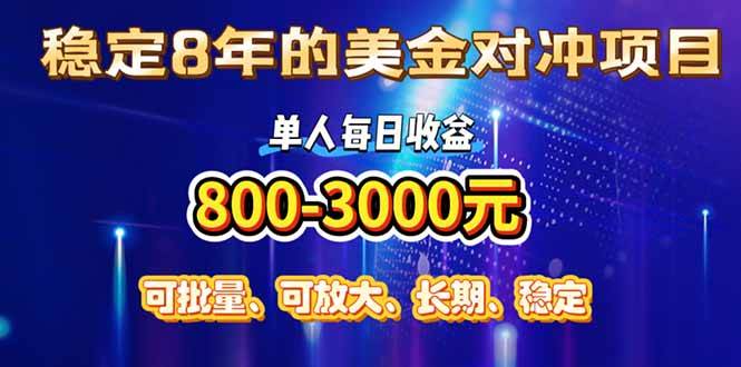 （15782期）稳定8年的美金对冲创业项目，单人每日收益800-3000，小众暴力项目-九九网创