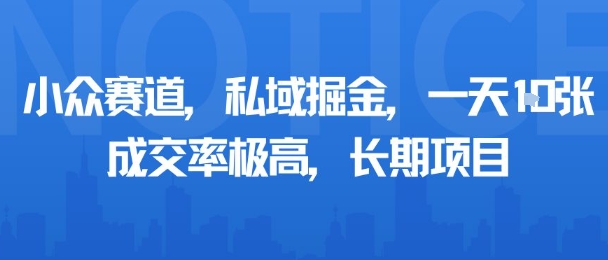 小众赛道，私域掘金，一天多张，成交率极高，长期项目-九九网创
