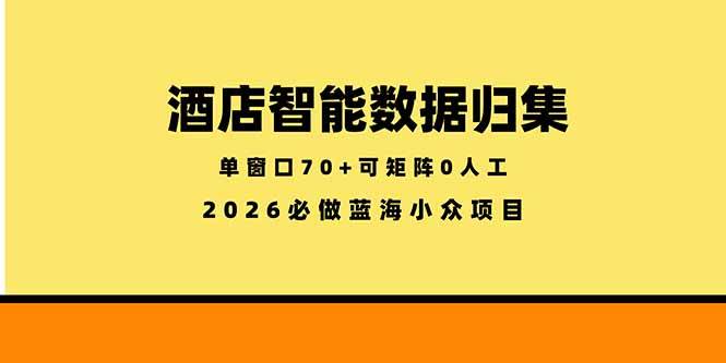 （18500期）酒店智能数据归集，小众蓝海已经稳定半年之久，单窗口70+零成本矩阵开干-九九网创