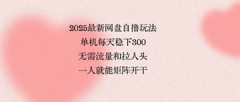 （15831期）2025最新网盘自撸玩法，单机每天稳下3张，无需流量和拉人头，一个人就…-九九网创
