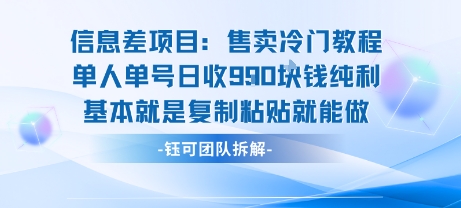信息差项目：售卖冷门教程单人单号日收9张纯利基本就是复制粘贴就能做-九九网创