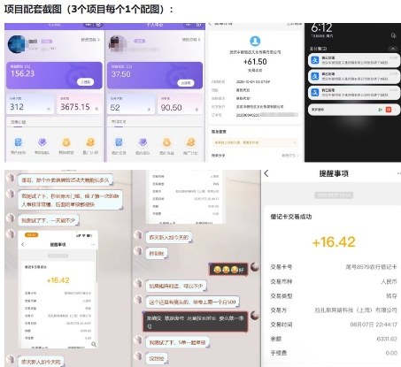 当天能收益的3个小项目拆解_包括平台+操作流程-九九网创