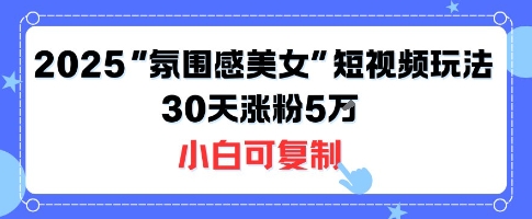 不露脸也能火!2025“氛围感美女”短视频玩法,30天涨粉5W小白可复制-九九网创