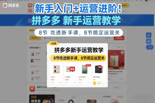 新手入门+运营进阶！拼多多新手运营教学，8节吃透新手课，8节搞定运营关-九九网创