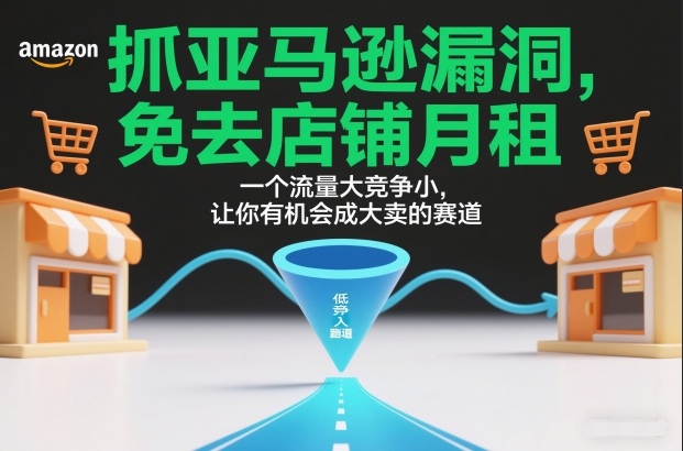 抓亚马逊漏洞，免去店铺月租，一个流量大竞争小，让你有机会成大卖的赛道-九九网创