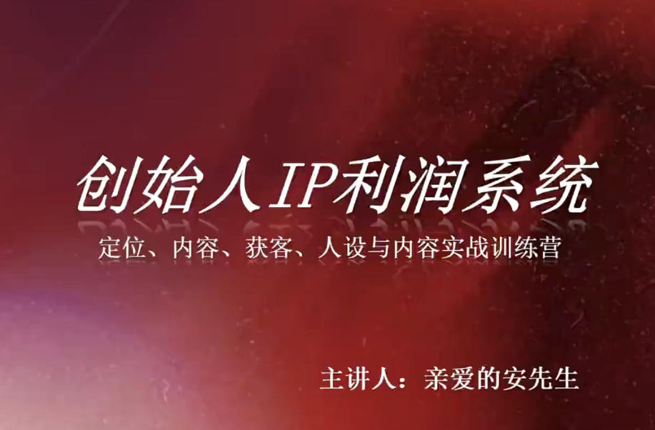 创始人IP利润系统8月训练营，定位、内容、获客、人设与内容实战训练营-九九网创