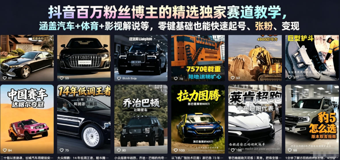 抖音百万粉丝博主的精选独家赛道教学，涵盖汽车+体育+影视解说等，零基础也能快速起号、涨粉、变现-九九网创