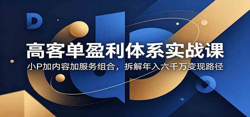 高客单盈利体系实战课：小P加内容加服务组合，拆解年入六千万变现路径-九九网创
