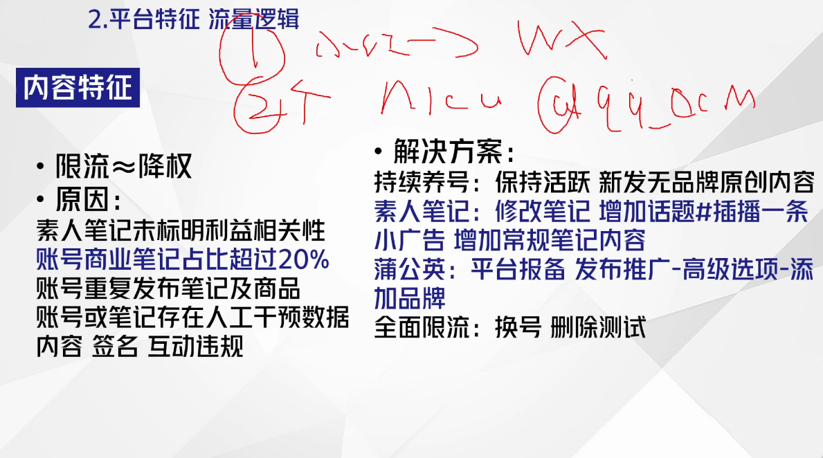 尼采老师·小红书爆单系列课-九九网创