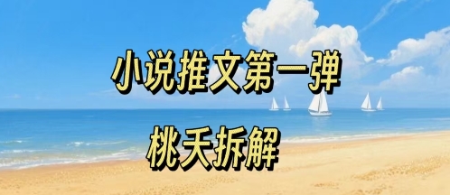 小说推文项目操作全流程第一弹，0粉就能做，门槛低非常适合新手-九九网创