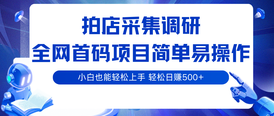 拍店采集调研，全网首码项目，简单易操作， 小白也能轻松上手，轻松日赚500+-九九网创