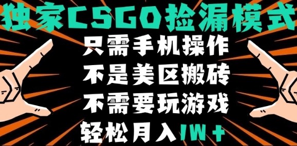 CSGO自动捡漏项目，最新独家玩法，不是美区搬砖，不需要了解和玩游戏，新手小白轻松月入1W+【揭秘】-九九网创