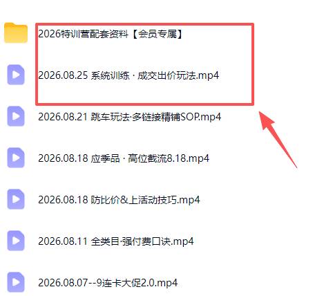 （20092期）拼多多实战特训营(更新26年0827)：不管是新手入门或老商家冲量，都有实操方法，跟着学，少走弯路-九九网创