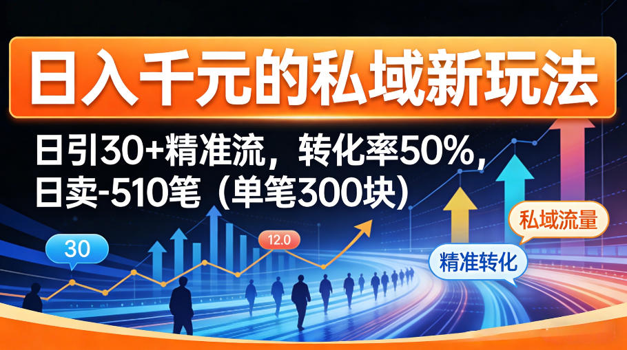 日入千米的私域新玩法:日引30+精准流,转化率50%,日卖5-10笔(单笔300米)-九九网创