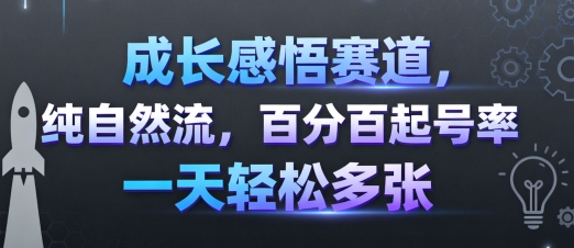 成长感悟赛道，纯自然流，百分百起号率 一天轻松多张-九九网创