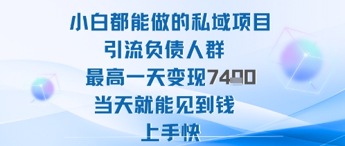2025年小白都能做的私域项目引流负债人群最高一天变现1k+高变现难度低当天就能见到钱上手快-九九网创