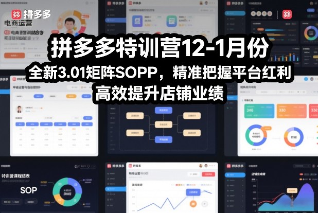 拼多多特训营12-1月份，全新3.01矩阵Sop，精准把握平台红利，高效提升店铺业绩-九九网创