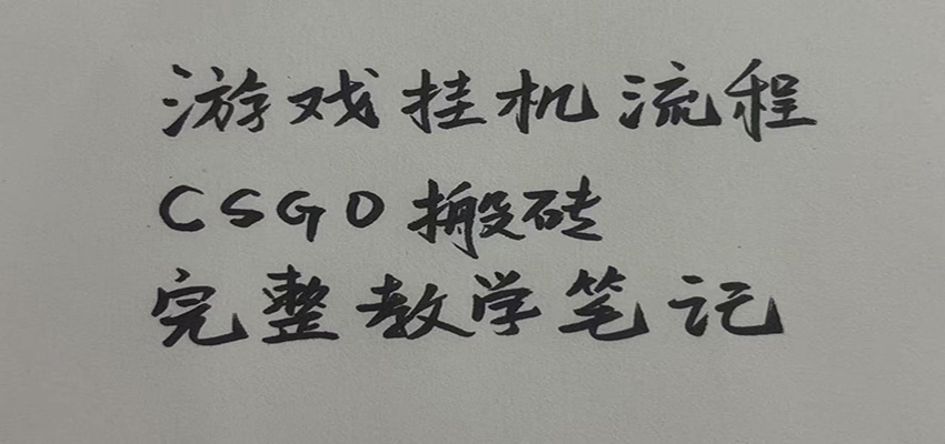 游戏挂机全流程笔记分享，CSGO游戏搬砖，小白看了当天学会见收益-九九网创