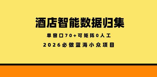 酒店智能数据归集，小众蓝海已经稳定半年之久，单窗口70+零成本矩阵开干【揭秘】-九九网创