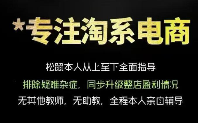 松鼠会电商VIP课程，从基础布局到高阶优化，助你掌握淘宝运营逻辑，提升店铺流量与转化-九九网创