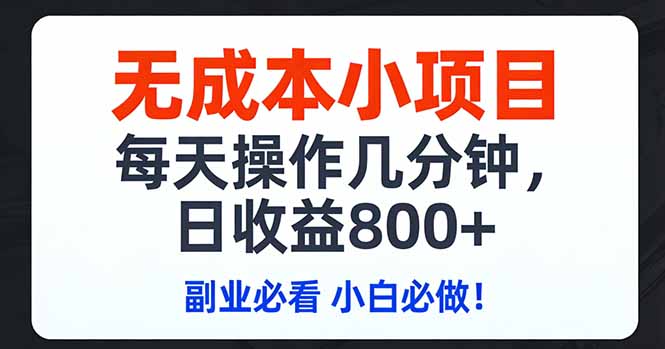 无成本小项目,每天操作几分钟,日收益800+ 副业必看 小白必做!-九九网创