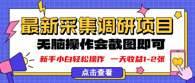 新版采集调研项目，截图上传即可，无脑操作，日收益1-2张-九九网创