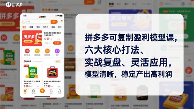 拼多多可复制盈利模型课,六大核心打法、实战复盘、灵活应用,模型清晰,稳定产出高利润-九九网创