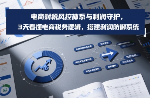 电商财税风控体系与利润守护，3天看懂电商税务逻辑，搭建利润防御系统-九九网创