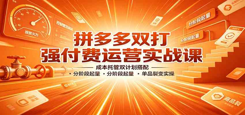 拼多多双打强付费运营实战课:成本托管双计划搭配,分阶段起量,单品裂变实操-九九网创
