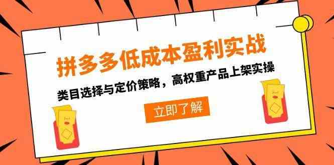 拼多多低成本盈利实战,类目选择与定价策略,高权重产品上架实操-九九网创