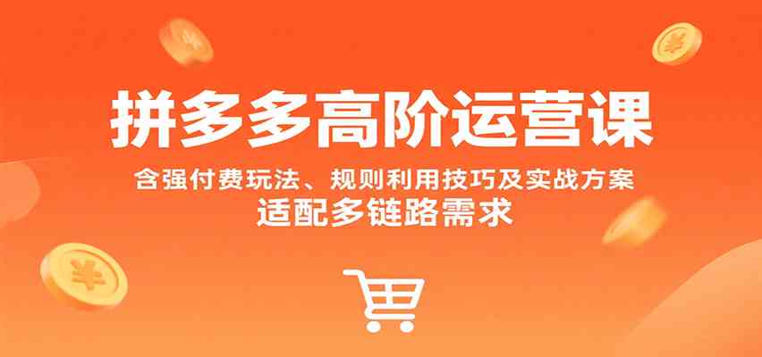拼多多高阶运营课，含强付费玩法、规则利用技巧及实战方案，适配多链路需求-九九网创