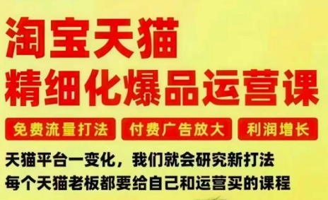 淘宝天猫精细化爆品运营课，免费流量打法-付费广告放大-利润增长-三大核心痛点，一次全部解决-九九网创