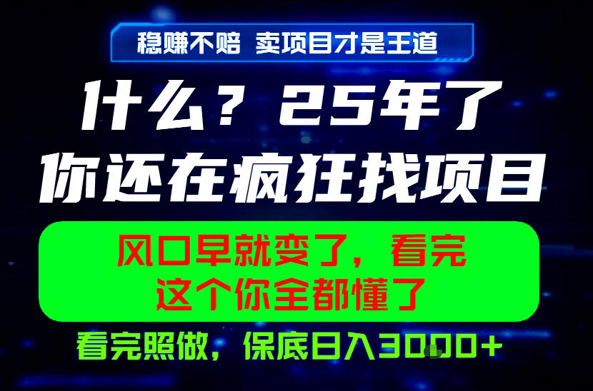 26年，请不要疯狂的找项目做了！卖项目才是真的稳賺不赔，看完照做，保底日入1k+【揭秘】-九九网创