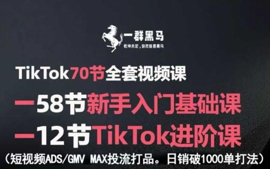 TikTok全套视频课，新手入门+进阶课，短视频ADS-GMV MAX投流打品，日销破1000单打法-九九网创