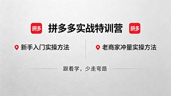 拼多多实战特训营(更新5月3-九九网创