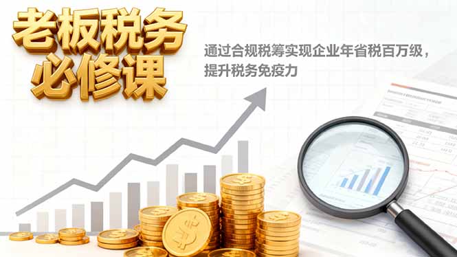 老板税务必修课，通过合规税筹实现企业年省税百万级，提升税务免疫力-九九网创