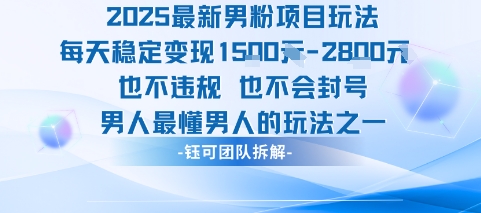 2025最新男粉项目玩法每天变现1k+也不违规也不会封号男人最懂男人的玩法-九九网创