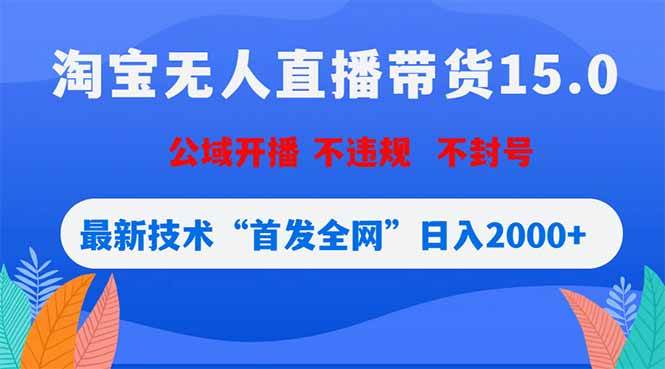 （18562期）淘宝无人直播带货15.0，不封号，不违规，公域玩法，首发全网日入2000+-九九网创