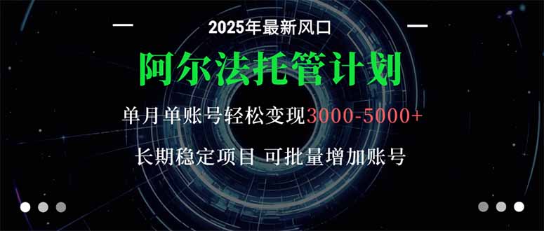 阿尔法托管计划 单账号月入3000-5000，长期稳定项目，新手小白轻松上手。-九九网创