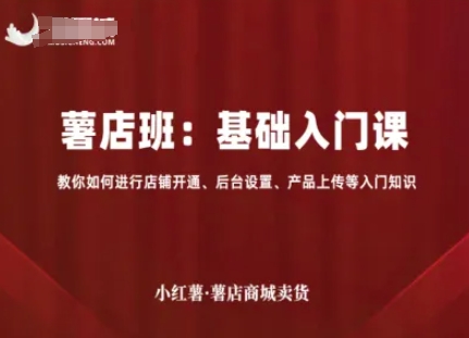 小红薯薯店商城卖货,基础入门课,教你如何进行店铺开通、后台设置、产品上传等入门知识-九九网创