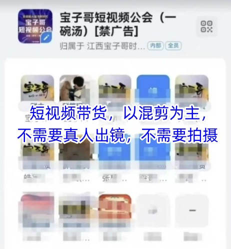 宝子哥头部团队短视频带货,以混剪为主,不需要真人出镜,不需要拍摄【更新8月】-九九网创