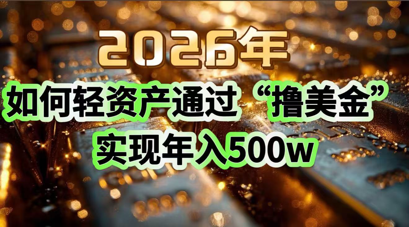 2026年如何轻资产通过“撸美金”实现年入500w-九九网创