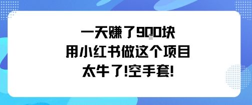 一天挣了9张用小红书做这个项目太牛了，空手套-九九网创