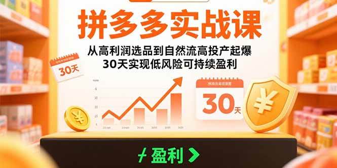（15586期）拼多多实战课：从高利润选品到自然流高投产起爆 30天实现低风险可持续盈利-九九网创