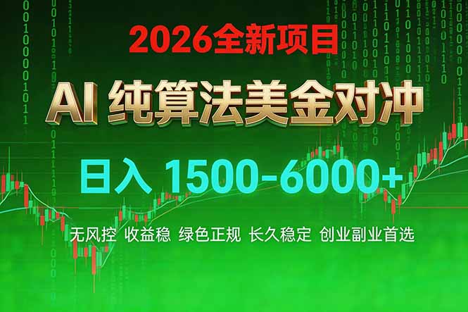 2026 全新美金对冲项目,不套平台赠金,不封号,纯算法对冲,日入 1500-6000+-九九网创