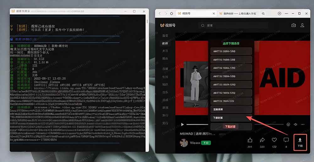 (20967期)Github热门工具,视频号下载神器又来了!一键注入下载按钮,轻松下载,使用便捷 wx_channel-九九网创