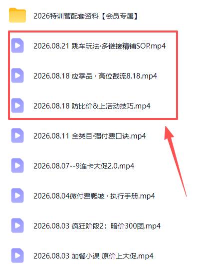 （20010期）拼多多实战特训营(更新26年0822)：不管是新手入门或老商家冲量，都有实操方法，跟着学，少走弯路-九九网创