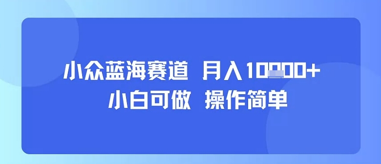 小众蓝海赛道，小白可做，操作简单，每天30分钟，月入1W+-九九网创